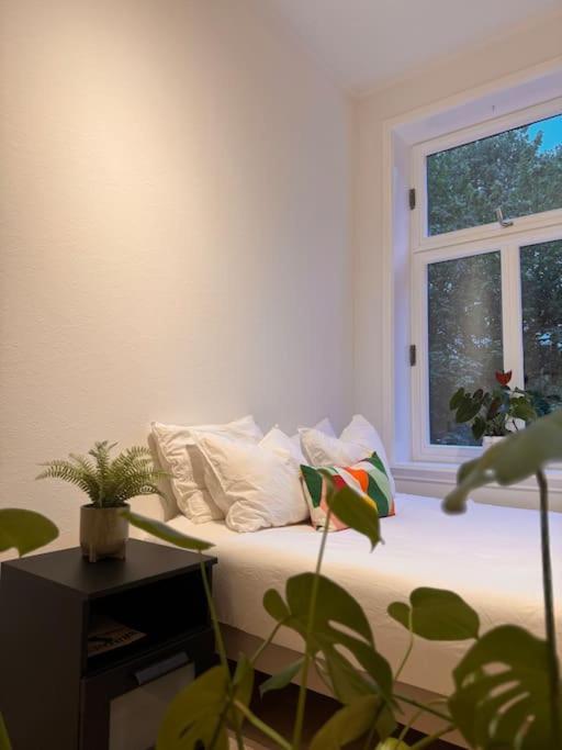 Apartment & Modern 2br Apt, 4min Subway To *